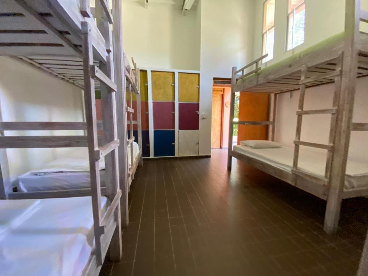 Color Hostel Паломино Экстерьер фото